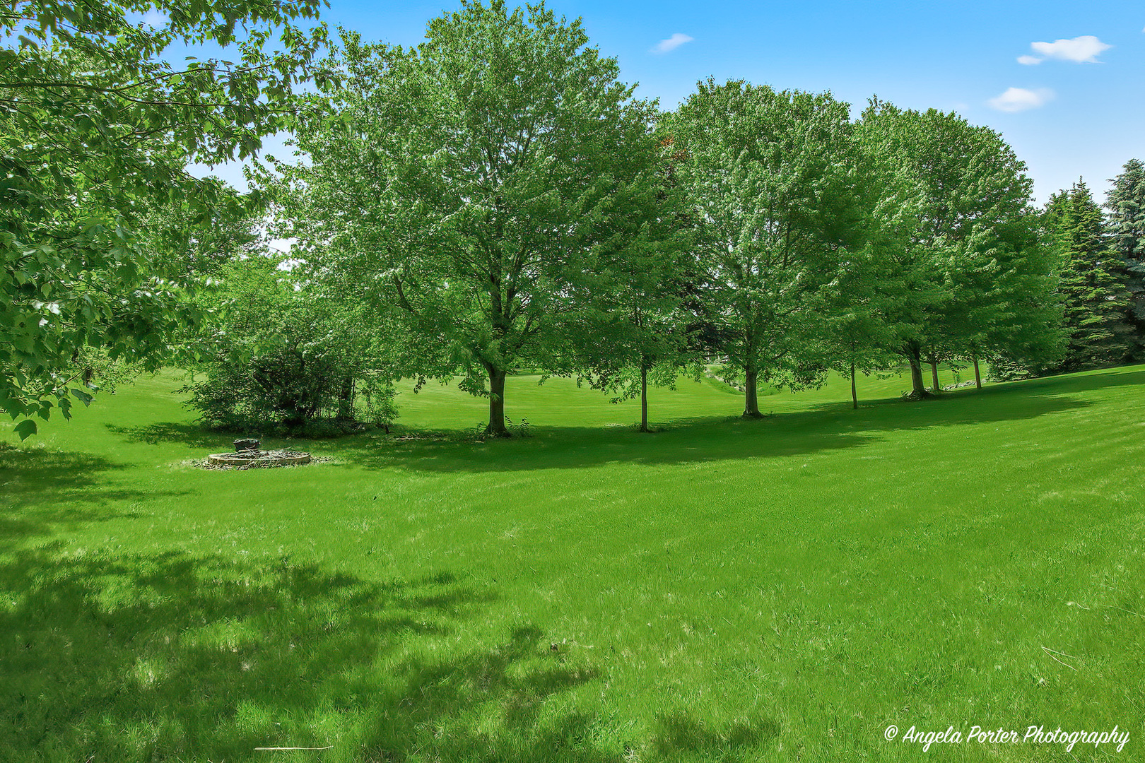 1717 Spruce Street, Spring Grove, IL 60081