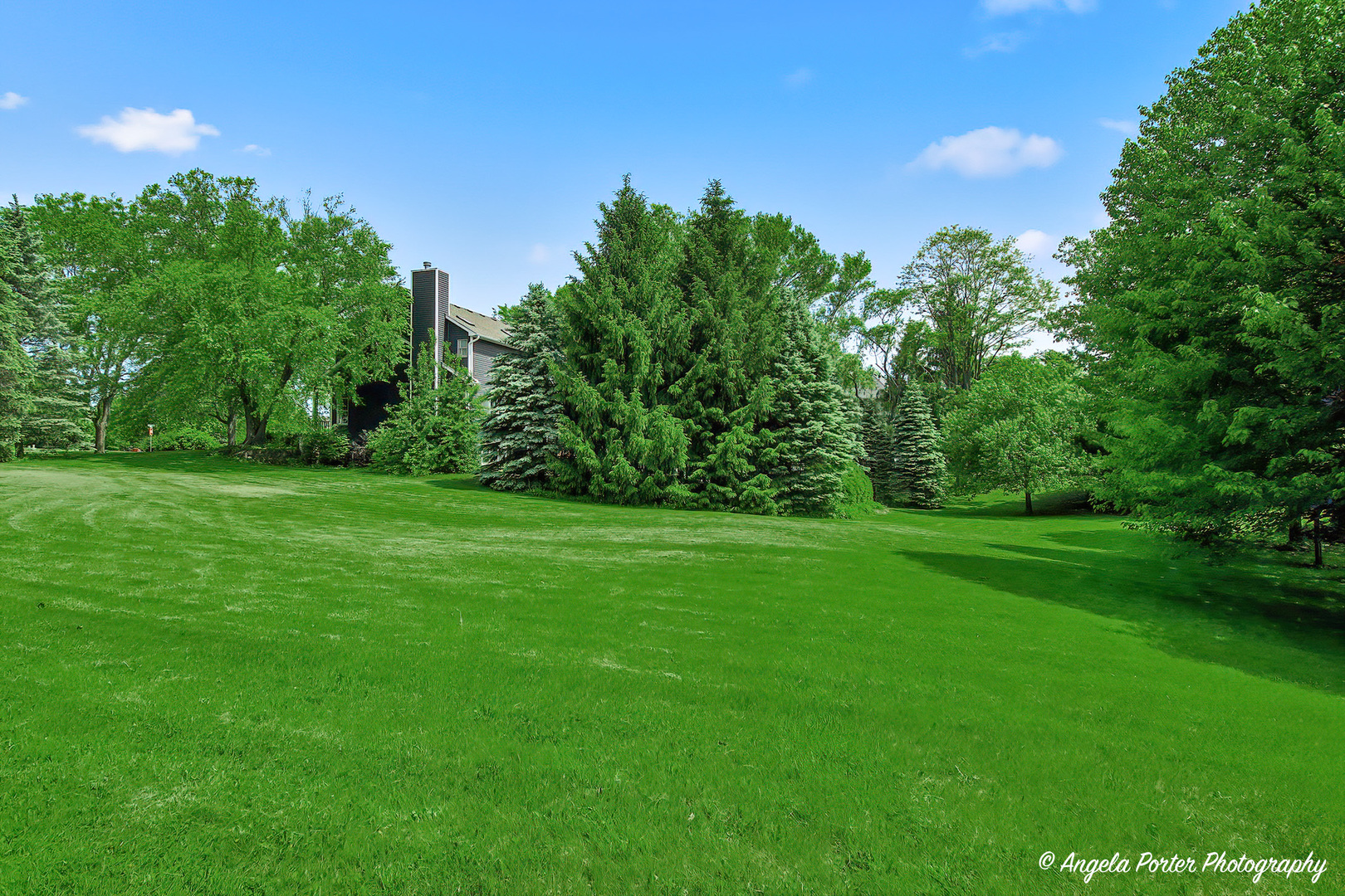 1717 Spruce Street, Spring Grove, IL 60081