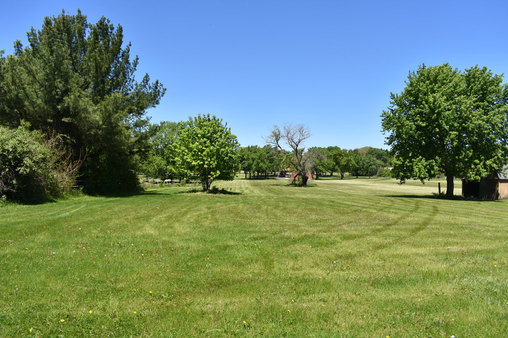 14119 W Maple Road, Mokena, IL 60448