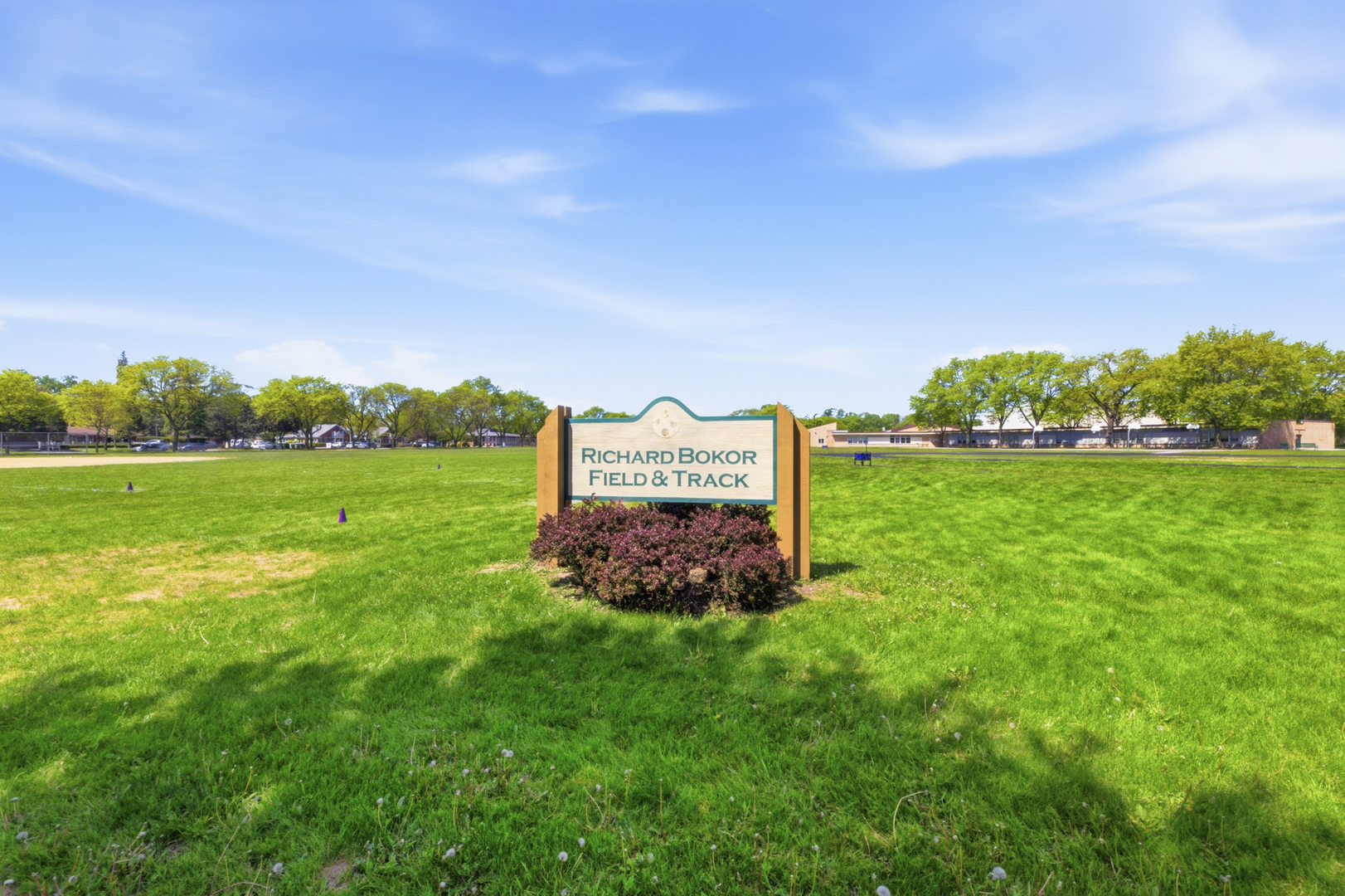 1117 E Kitson Drive, Palatine, IL 60074