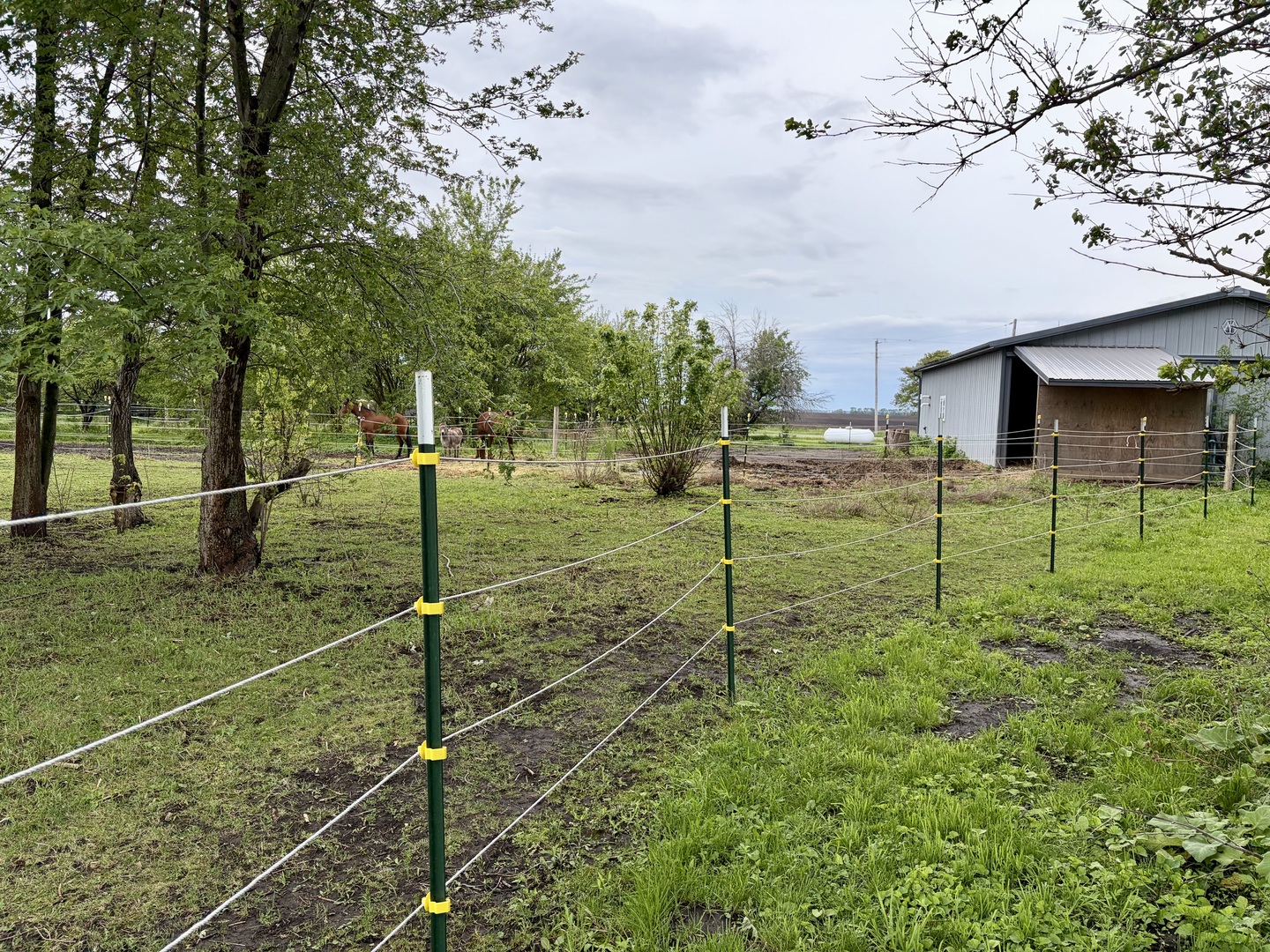 14681 Toad Hill Road, Wapella, IL 61777