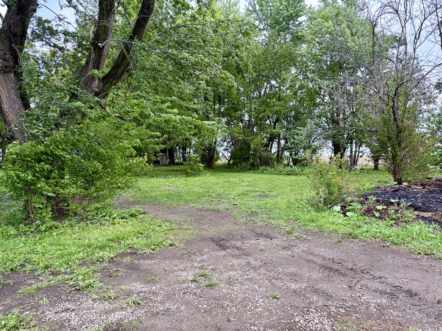 14681 Toad Hill Road, Wapella, IL 61777