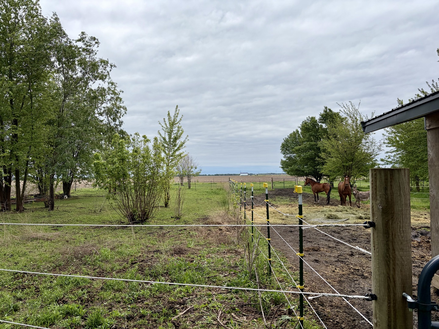 14681 Toad Hill Road, Wapella, IL 61777