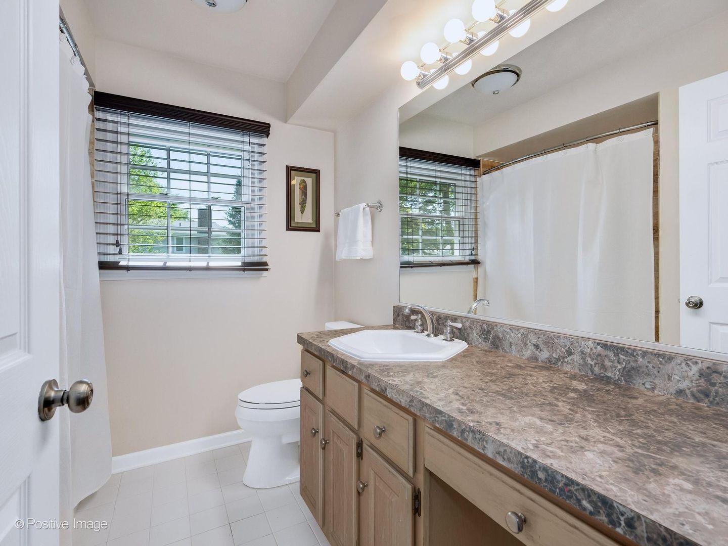 1525 Almond Court, Downers Grove, IL 60515