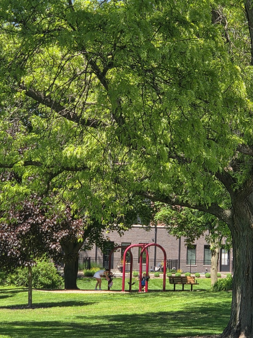 829 E Porter Avenue, Naperville, IL 60540