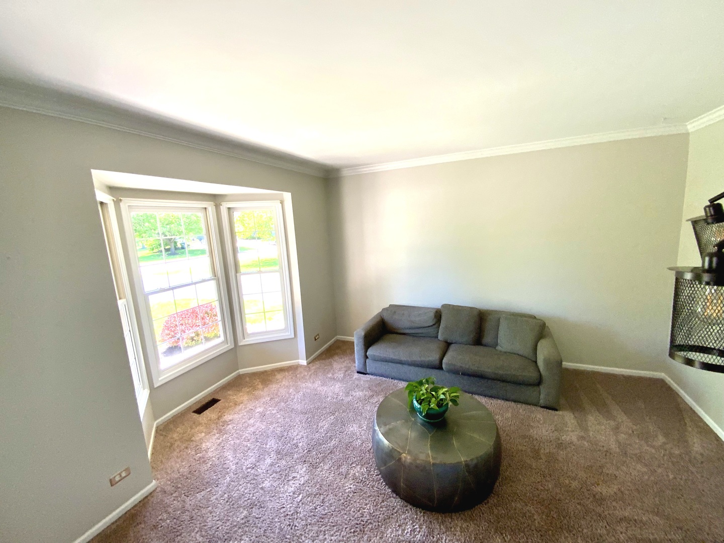 25958 W Karen Drive, Plainfield, IL 60585