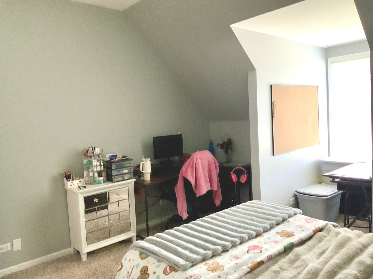 25958 W Karen Drive, Plainfield, IL 60585