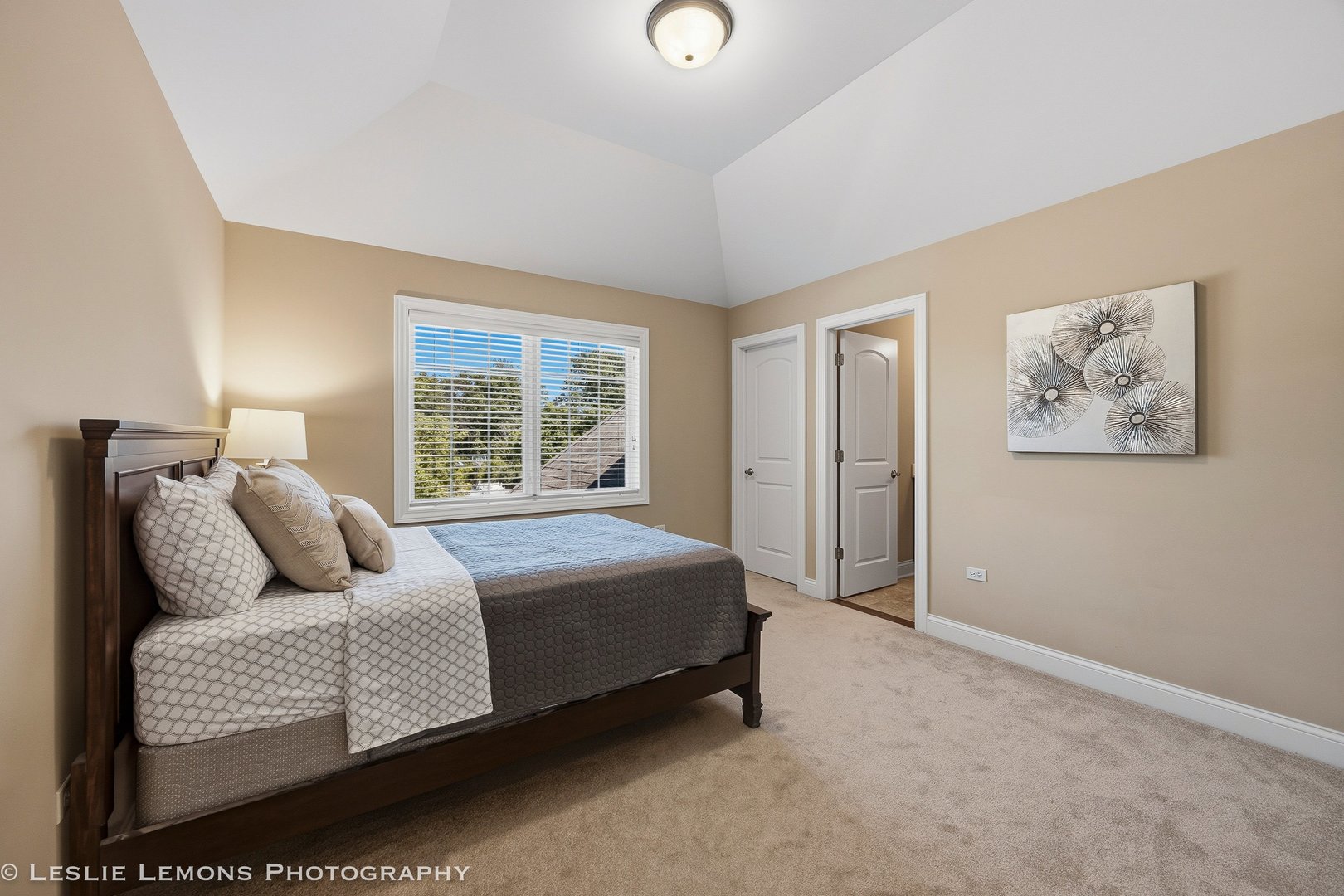 1411 Hatchwood Court, Naperville, IL 60565