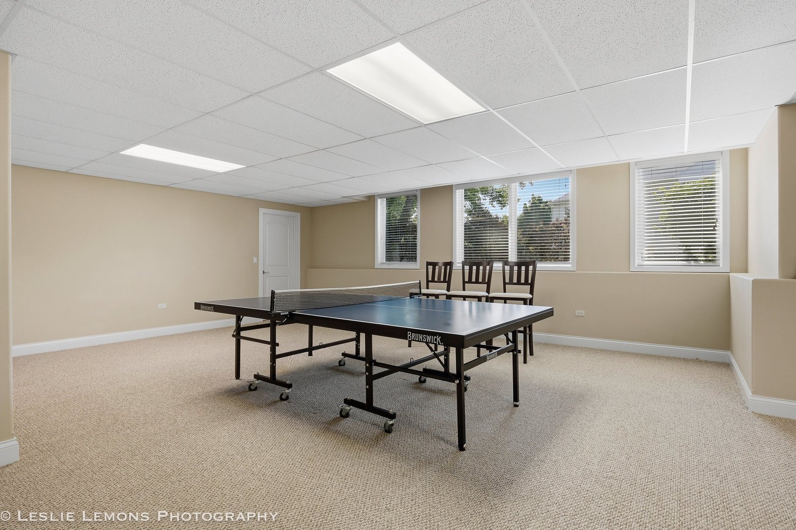 1411 Hatchwood Court, Naperville, IL 60565