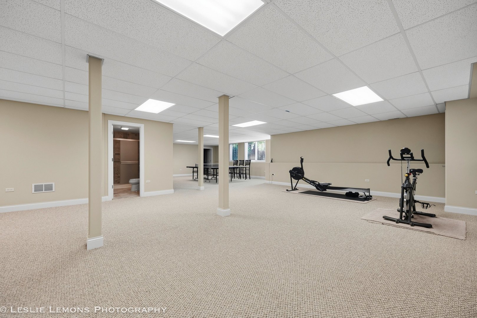 1411 Hatchwood Court, Naperville, IL 60565