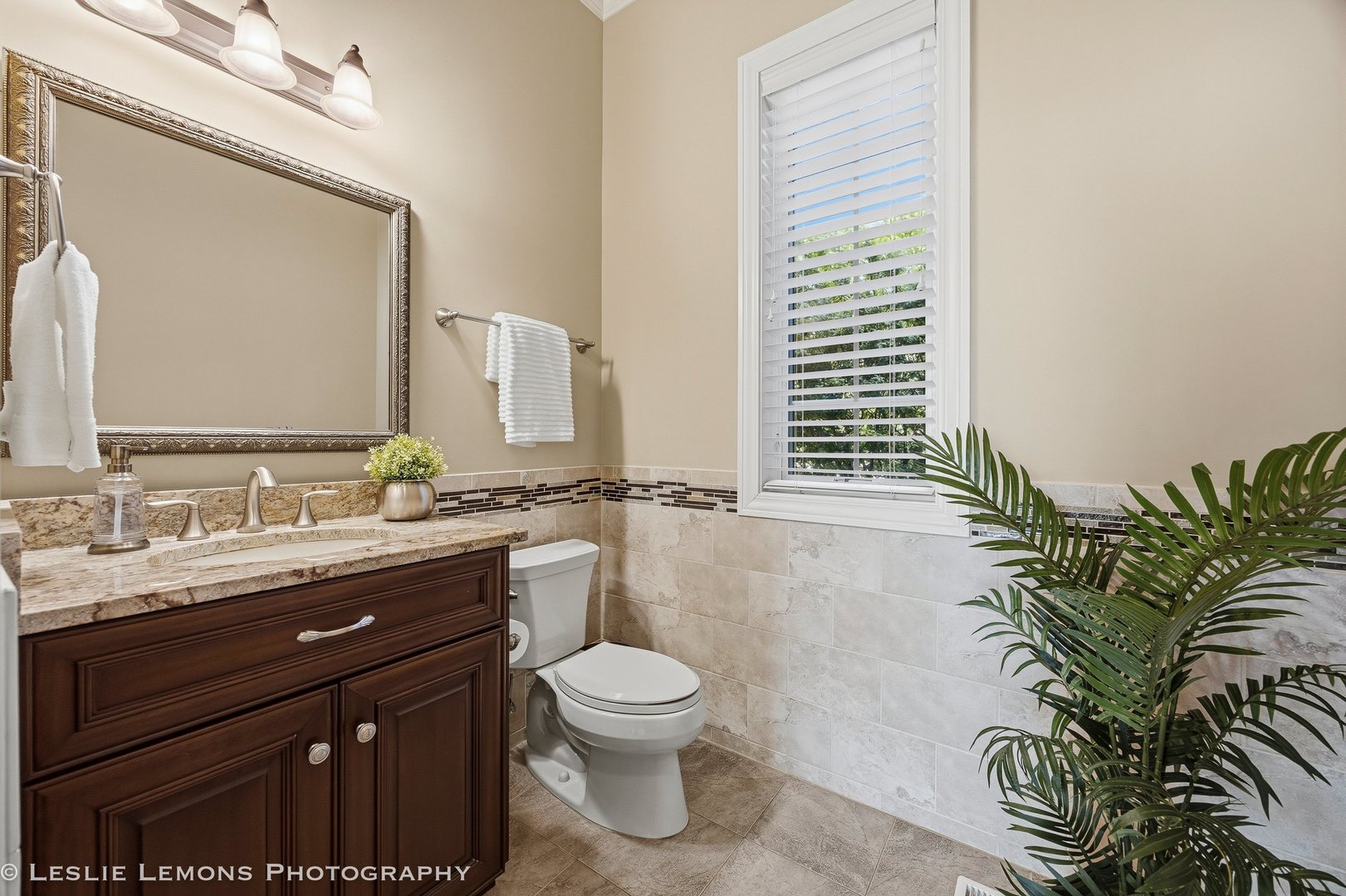 1411 Hatchwood Court, Naperville, IL 60565