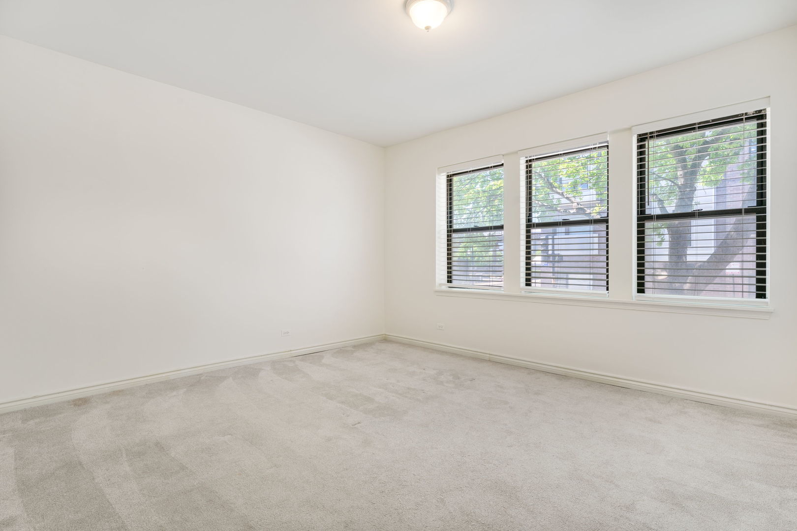 39 N Paulina Street #1, Chicago, IL 60612