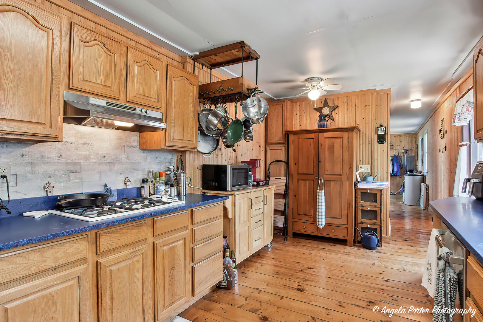 1518 River Terrace Drive, Johnsburg, IL 60051