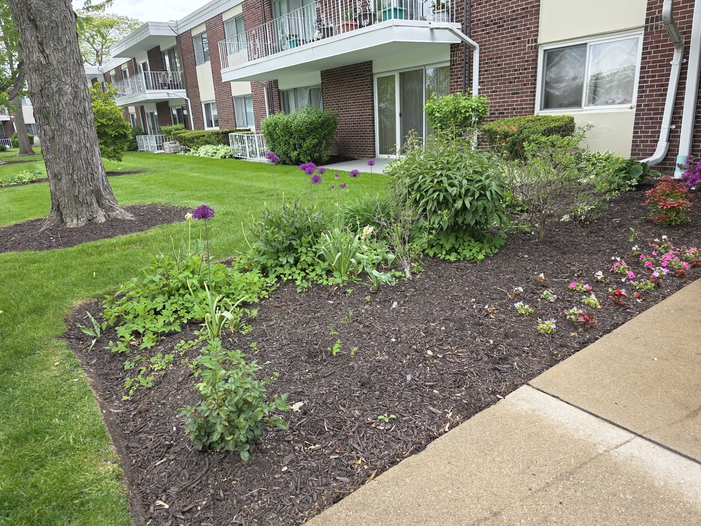 127 N Wolf Road #41A, Wheeling, IL 60090