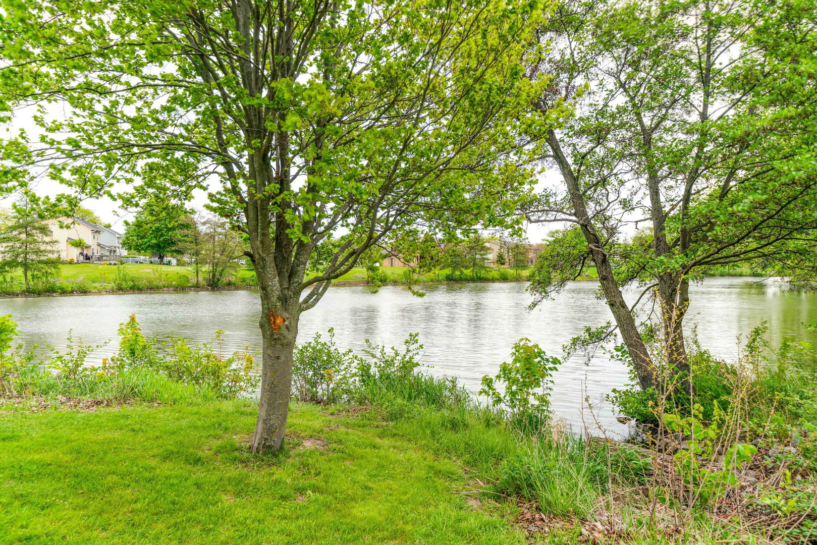 1255 W Dexter Lane, Hoffman Estates, IL 60169