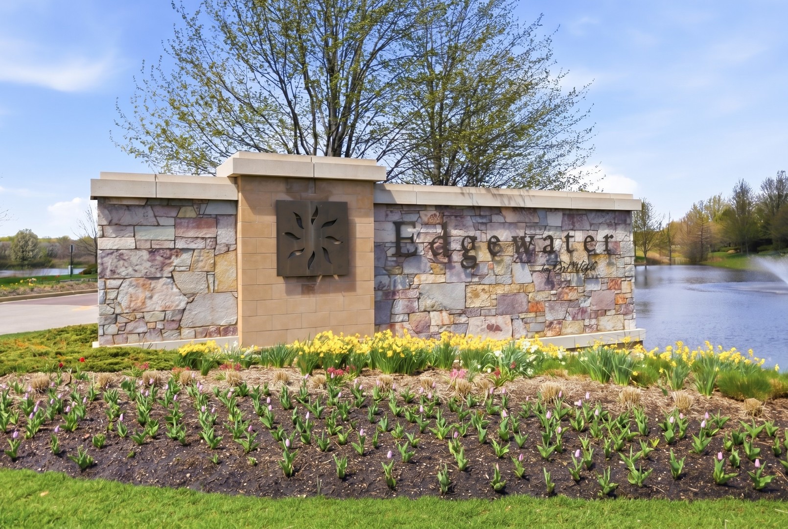 845 Butterfly Field Drive, Elgin, IL 60124