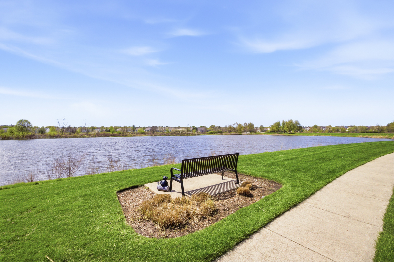 845 Butterfly Field Drive, Elgin, IL 60124