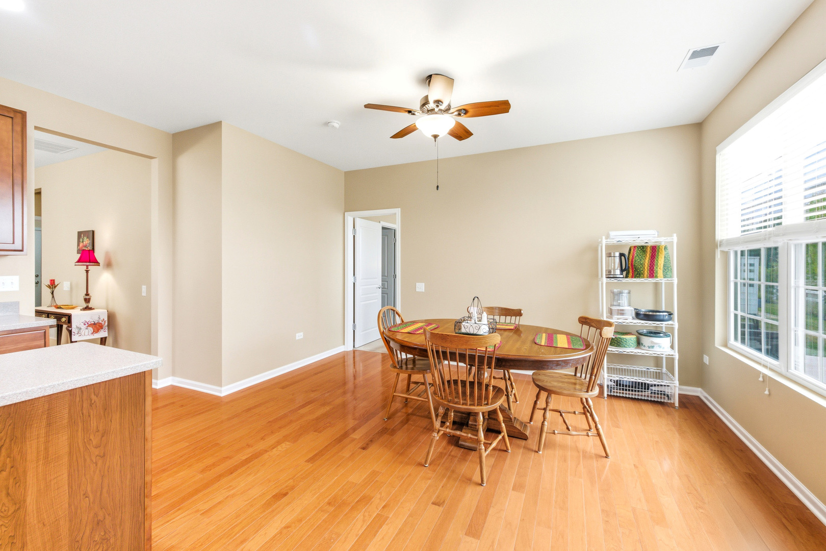 845 Butterfly Field Drive, Elgin, IL 60124