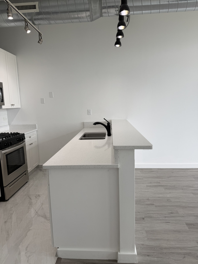 1550 S Blue Island Avenue #1107, Chicago, IL 60608
