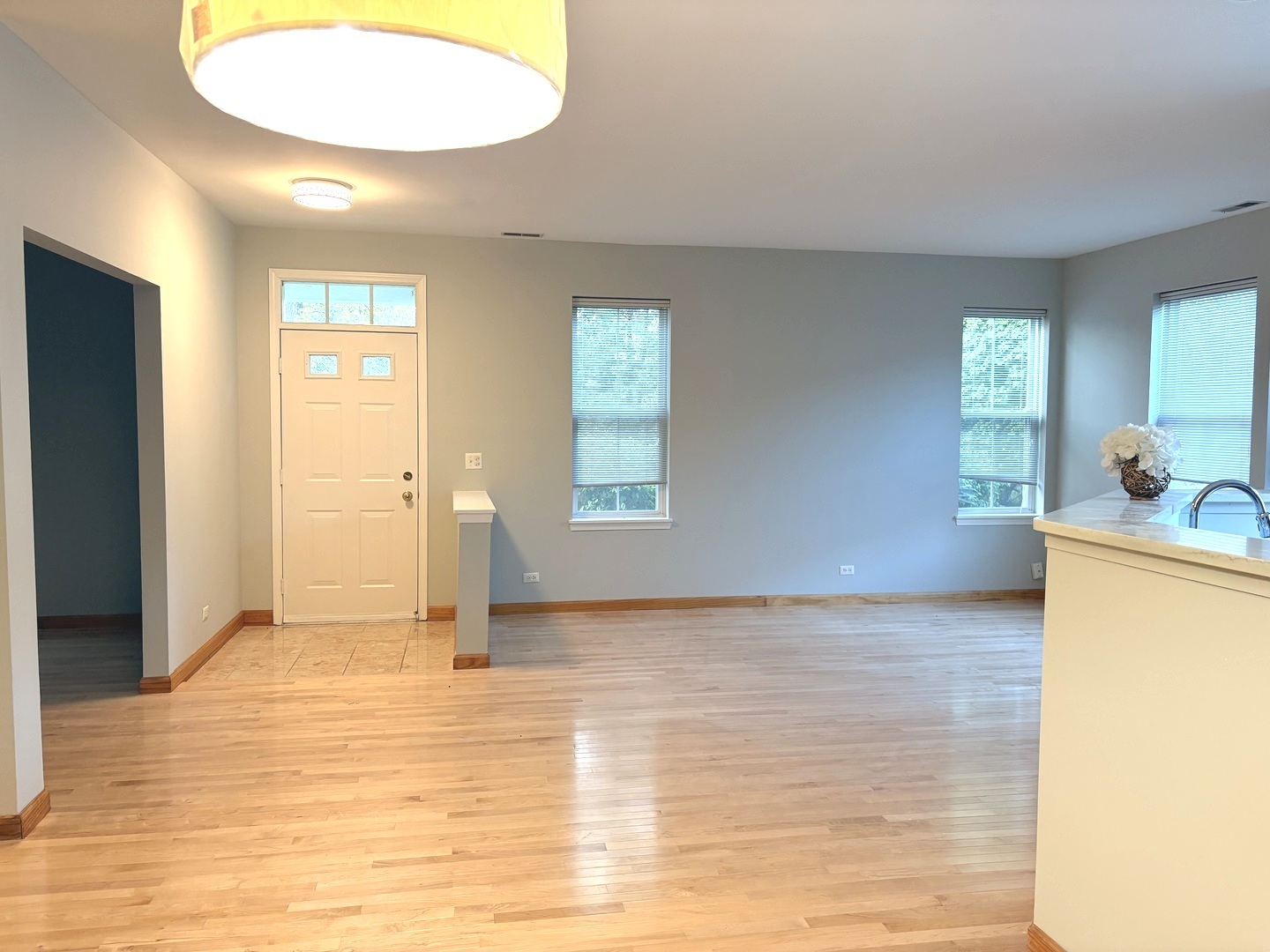 2912 FALLING WATERS Lane, Lindenhurst, IL 60046