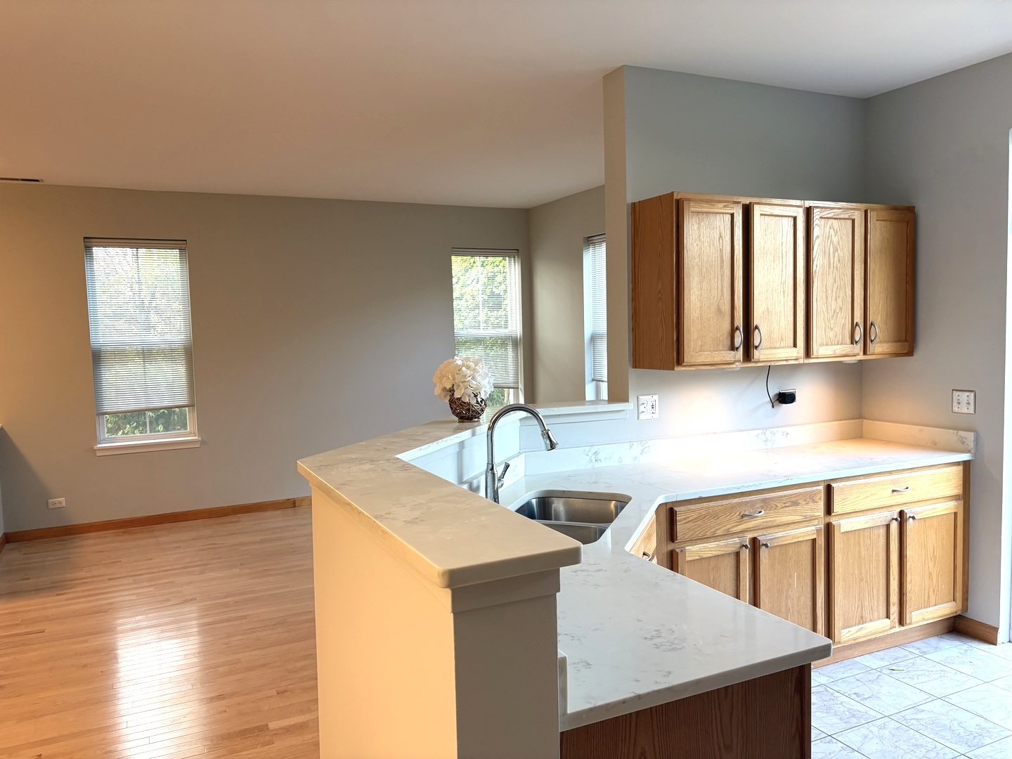 2912 FALLING WATERS Lane, Lindenhurst, IL 60046