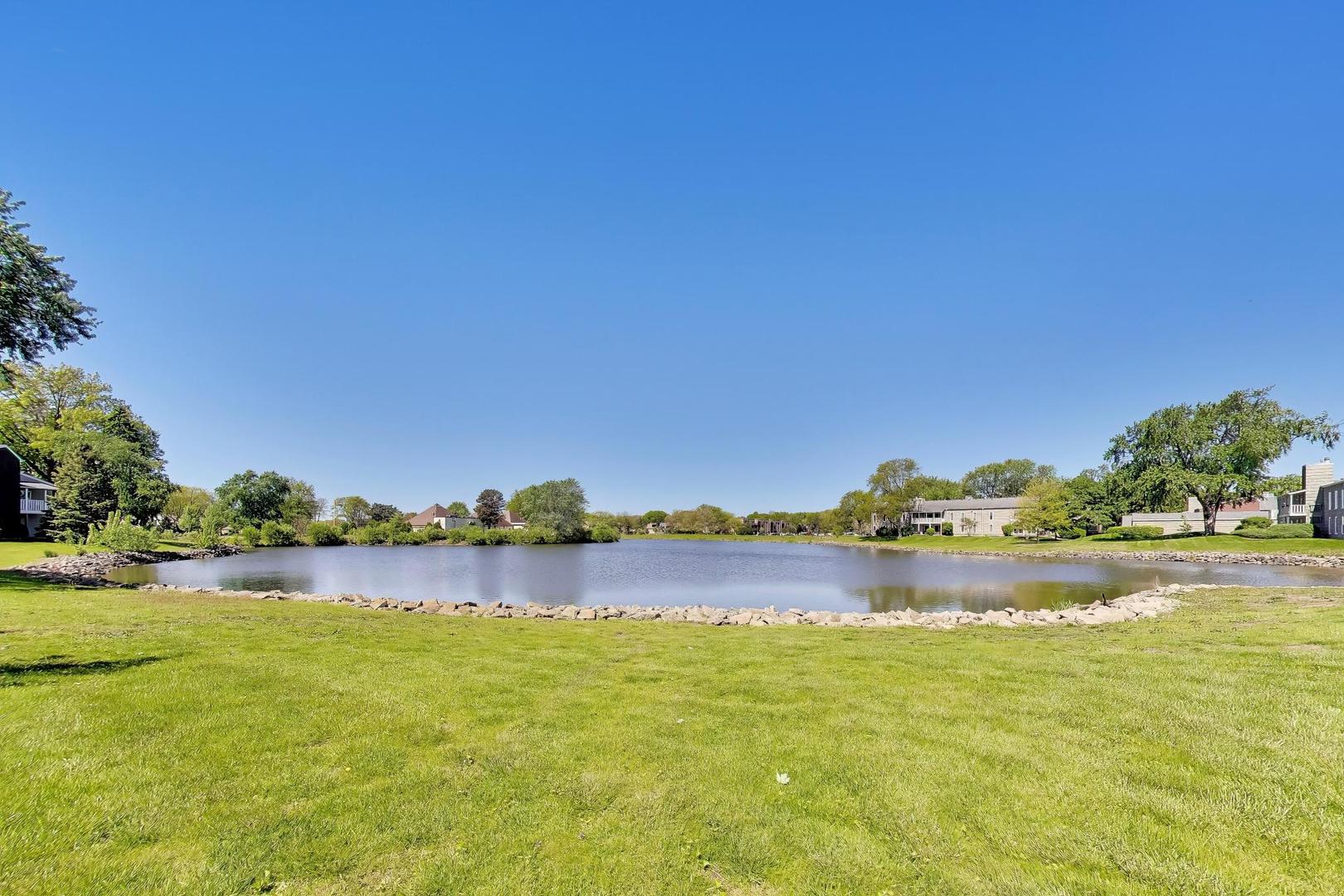 1520 Stonebridge Trail #2-1, Wheaton, IL 60189
