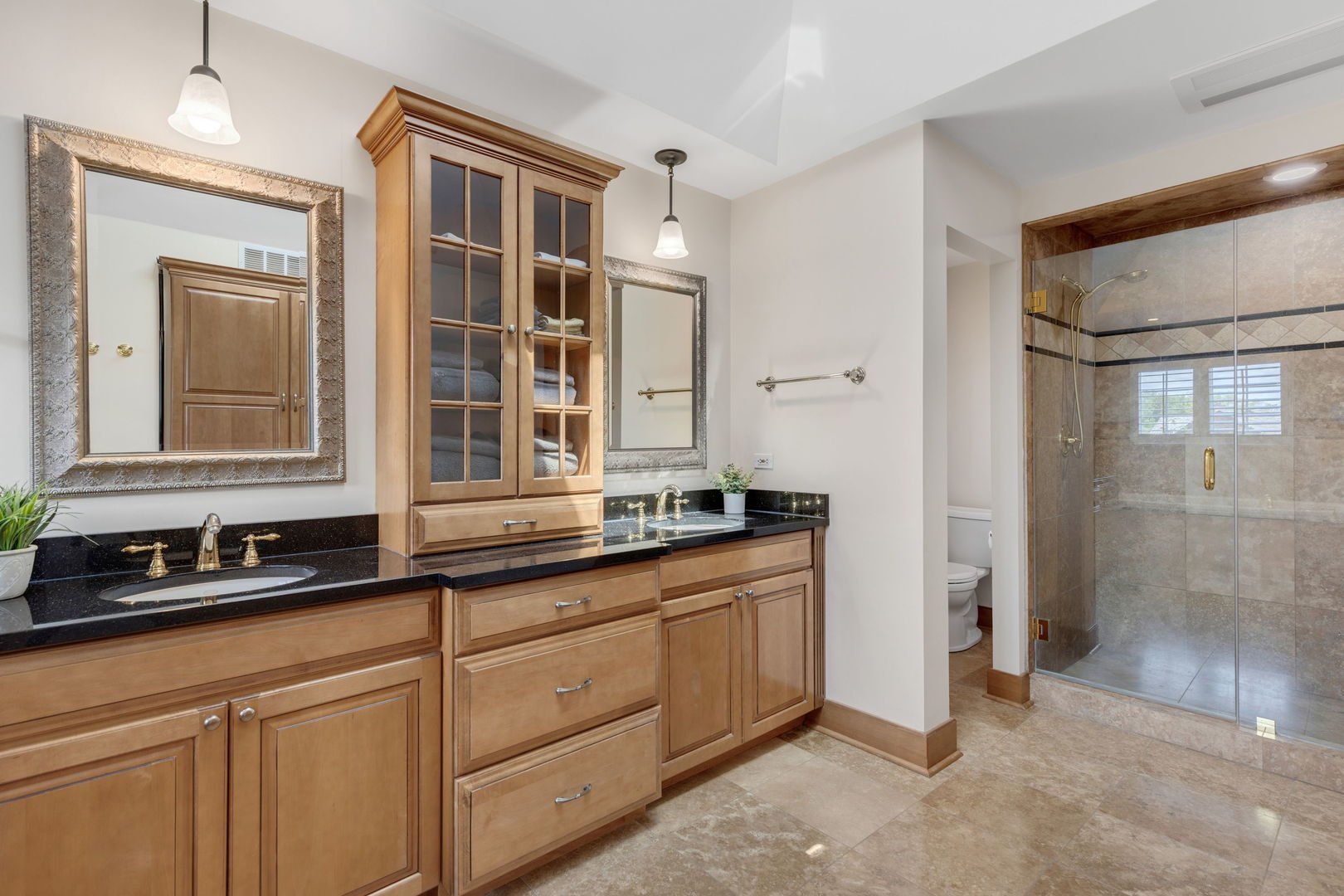 119 Saddle Brook Drive, Oak Brook, IL 60523