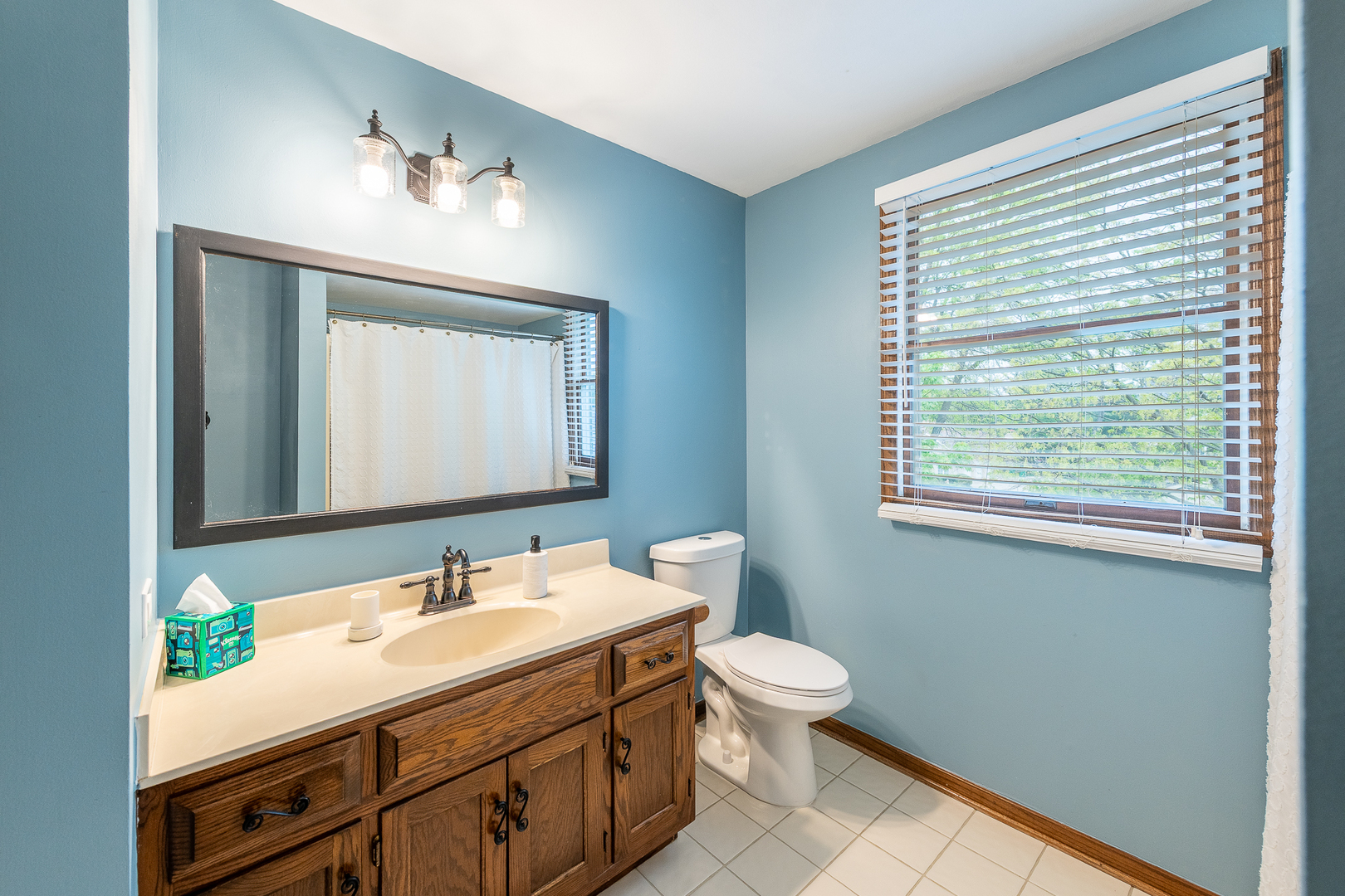 13421 W Oakwood Court, Homer Glen, IL 60491