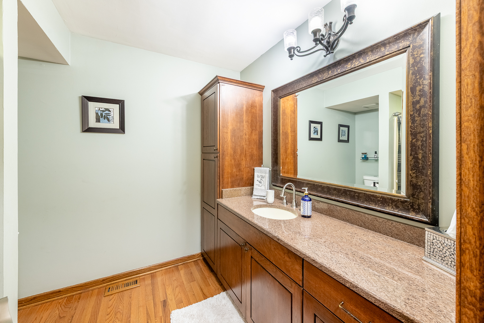 13421 W Oakwood Court, Homer Glen, IL 60491