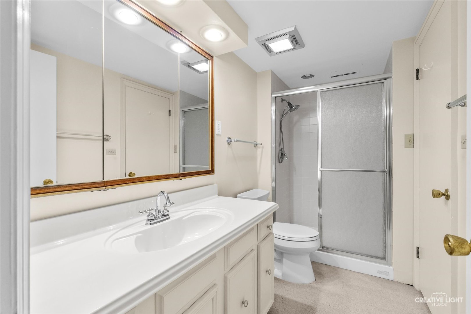1 Normandie Drive #208, Sugar Grove, IL 60554