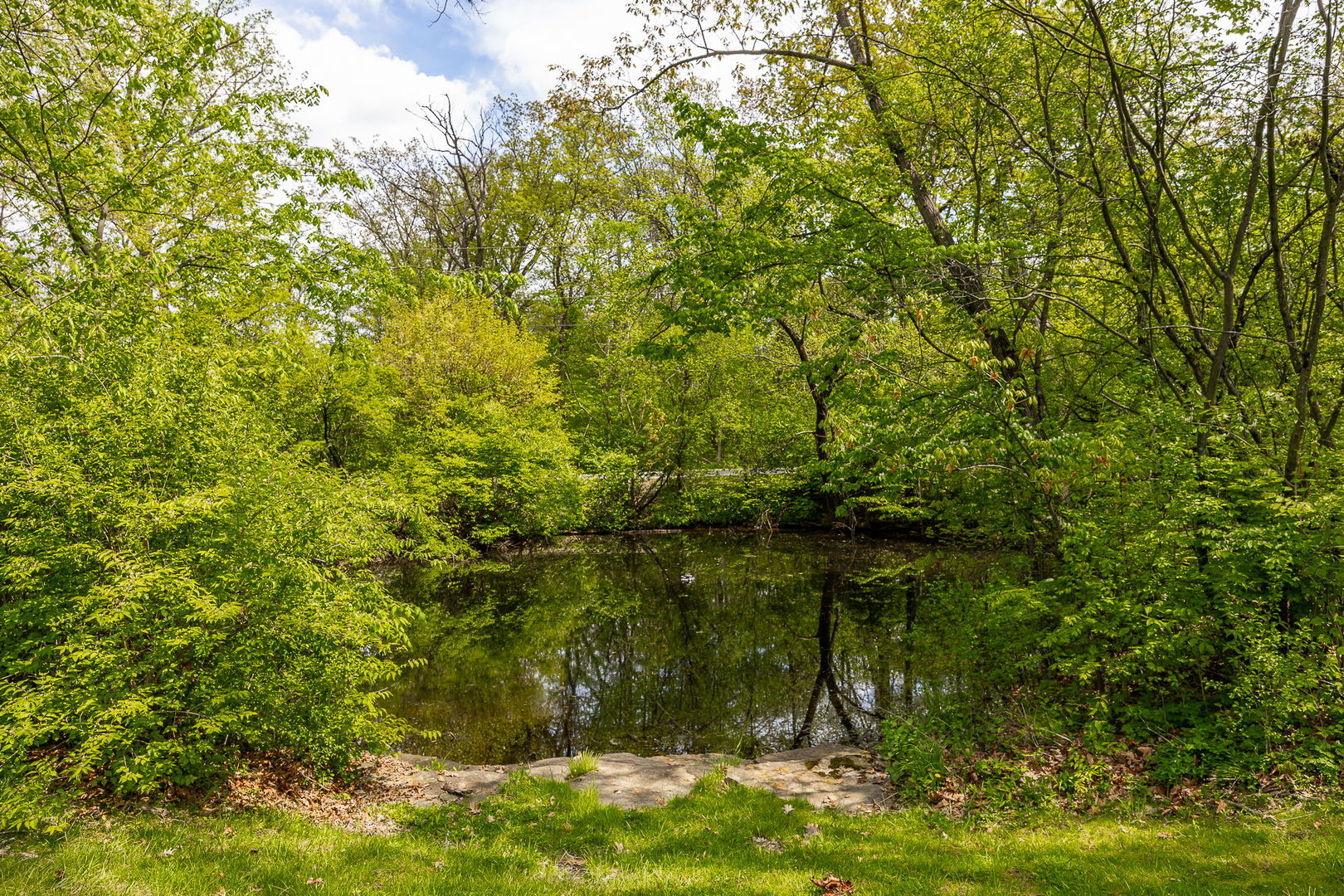7S460 Donwood Drive, Naperville, IL 60540