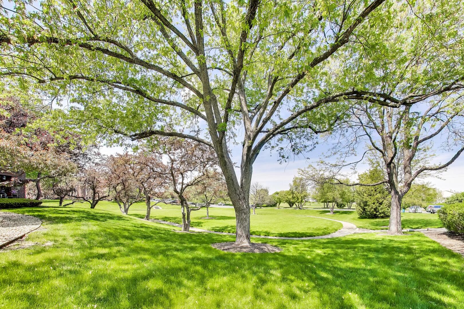 1425 Sandpebble Drive #104, Wheeling, IL 60090