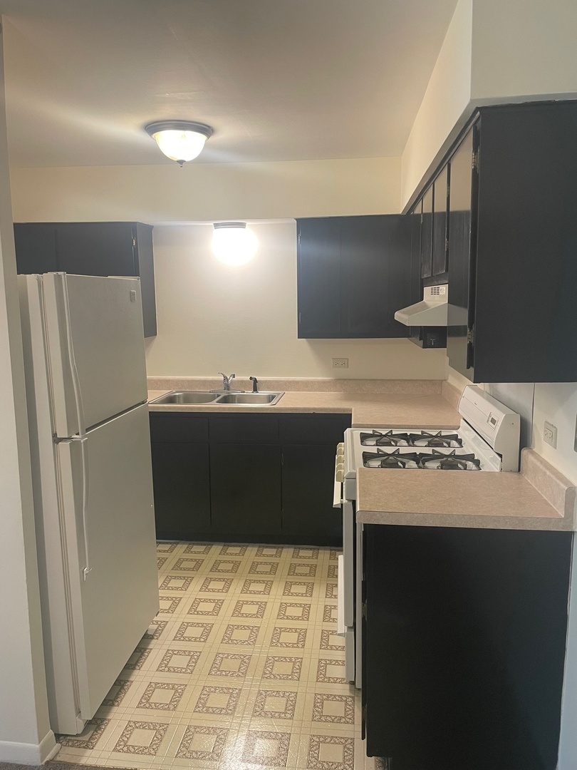 4925 W 109th Street #102, Oak Lawn, IL 60453