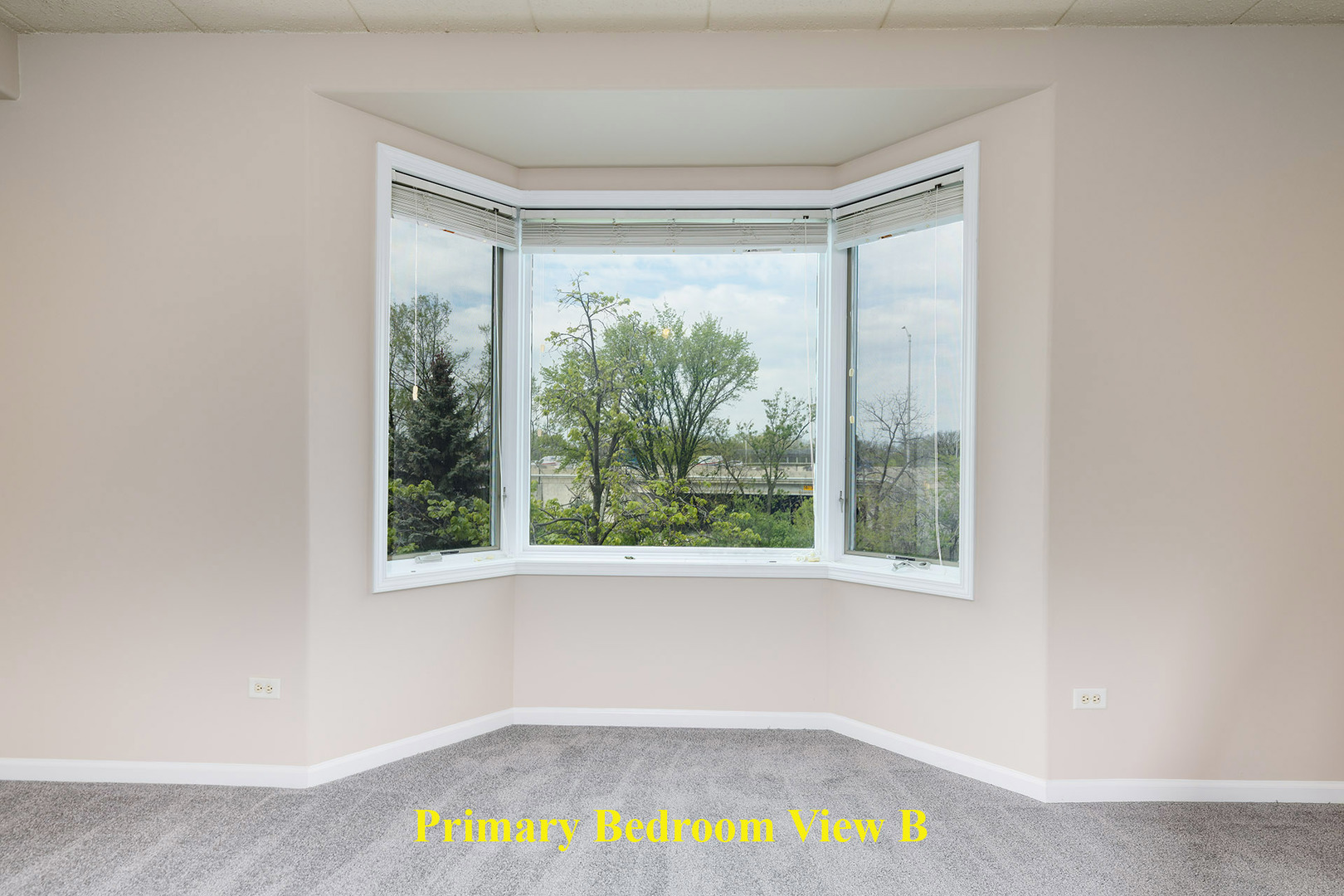 1715 Pavilion Way #307, Park Ridge, IL 60068
