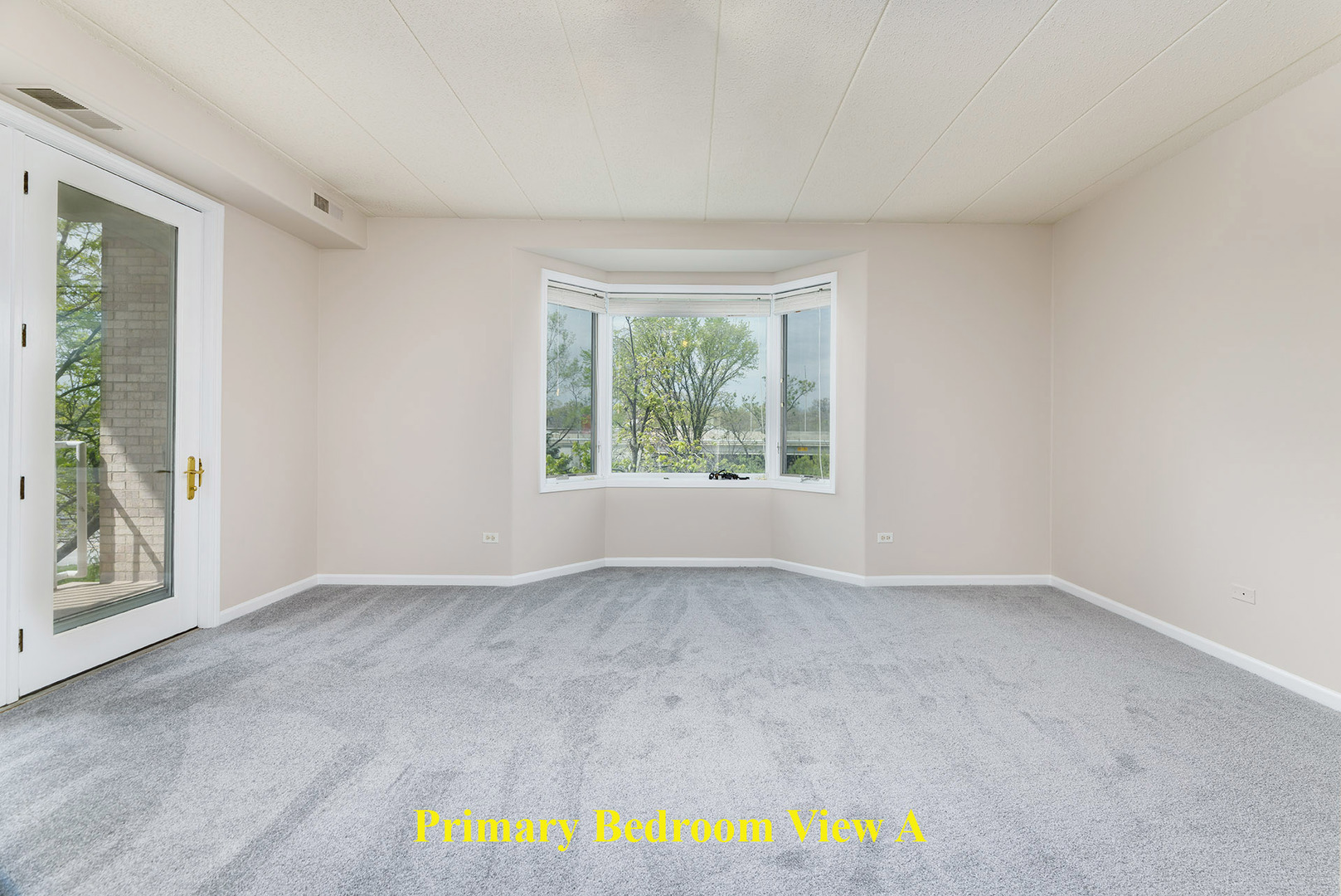 1715 Pavilion Way #307, Park Ridge, IL 60068