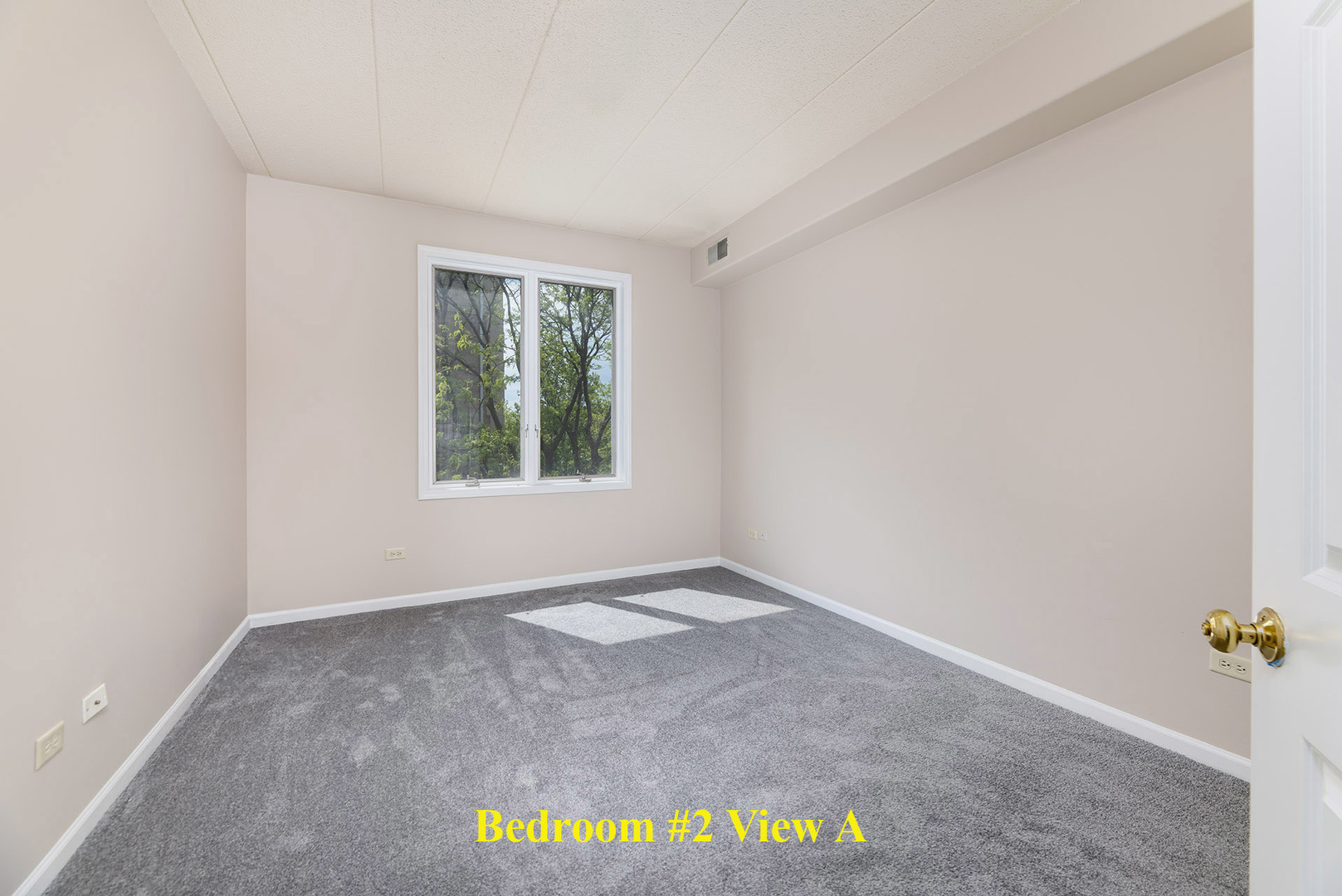 1715 Pavilion Way #307, Park Ridge, IL 60068