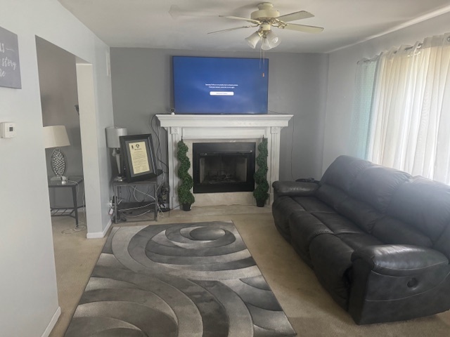 911 Ann Street, Joliet, IL 60435