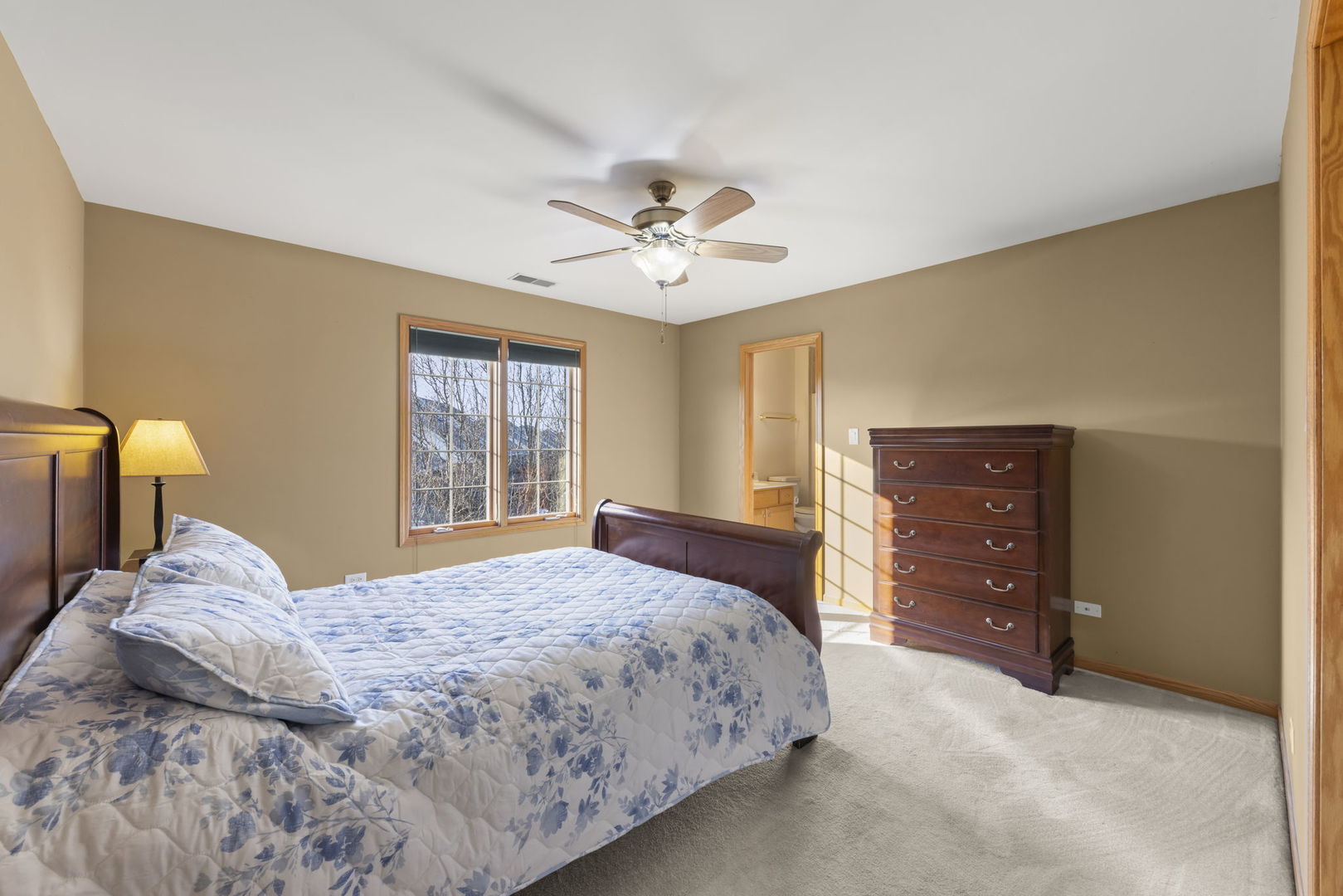 12198 Oxford Court, Lemont, IL 60439