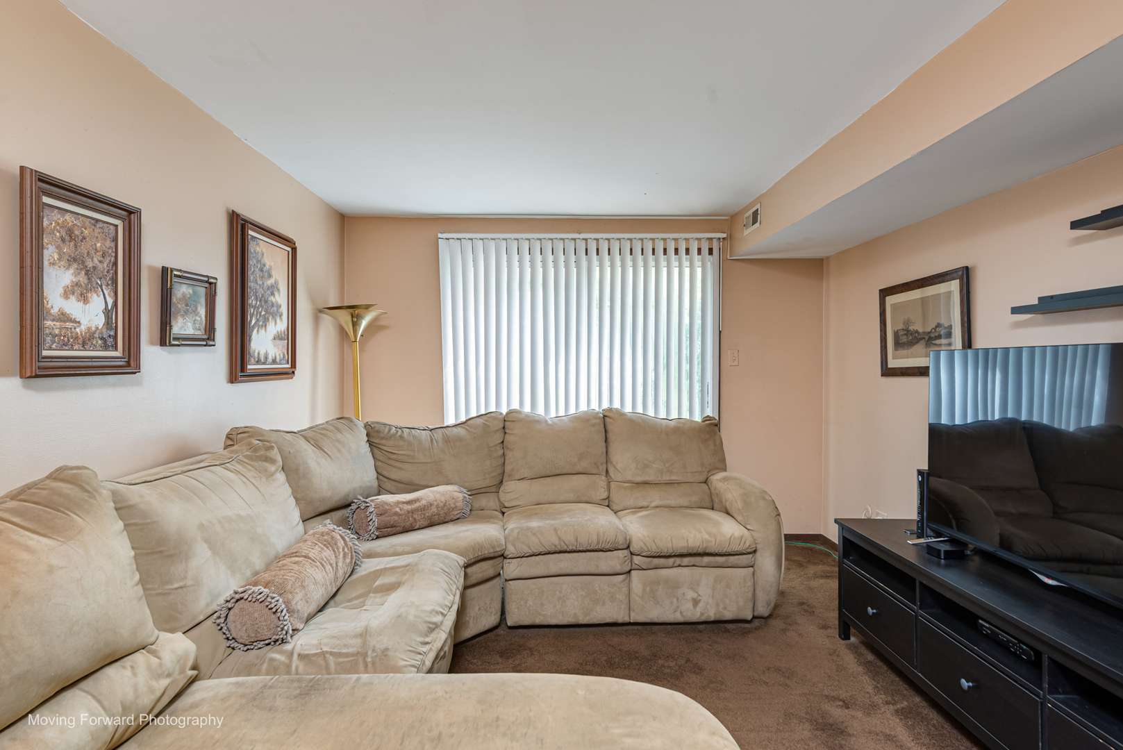 8161 W Orchard Drive, Frankfort, IL 60423