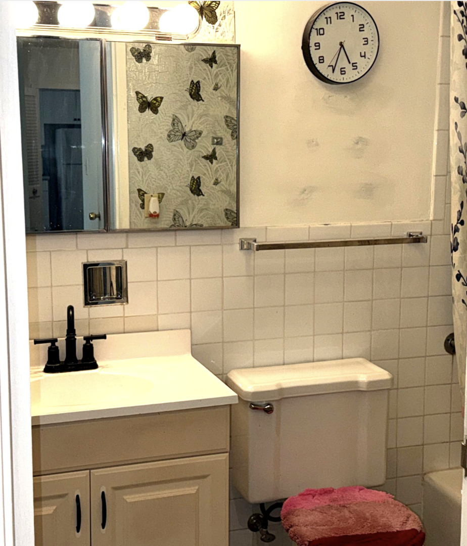 1139 Leavitt Avenue #212, Flossmoor, IL 60422