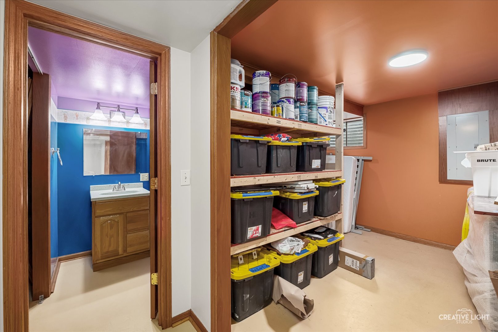 352 Coneflower Drive, Minooka, IL 60447