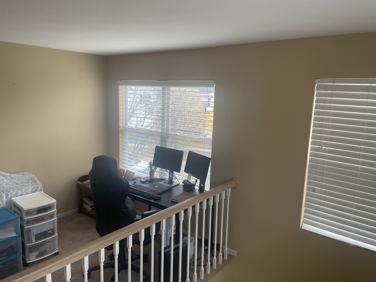1235 WHISPERING HILLS Drive #1235, Naperville, IL 60540