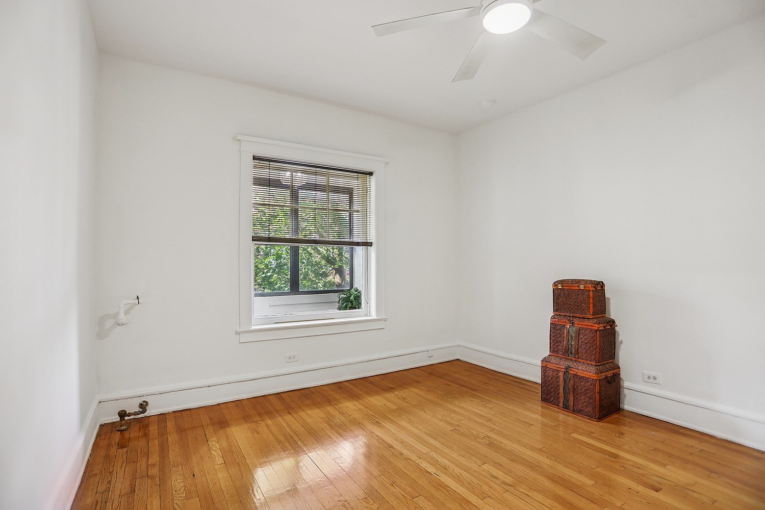 5133 S Greenwood Avenue #2, Chicago, IL 60615