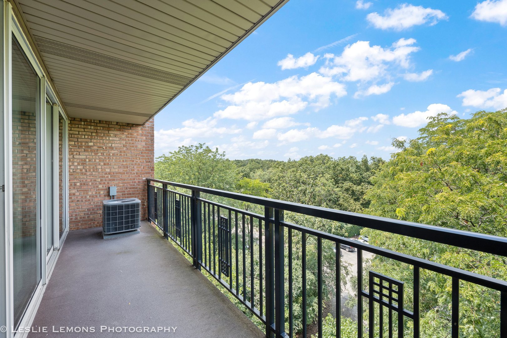 5950 Oakwood Drive #6F, Lisle, IL 60532