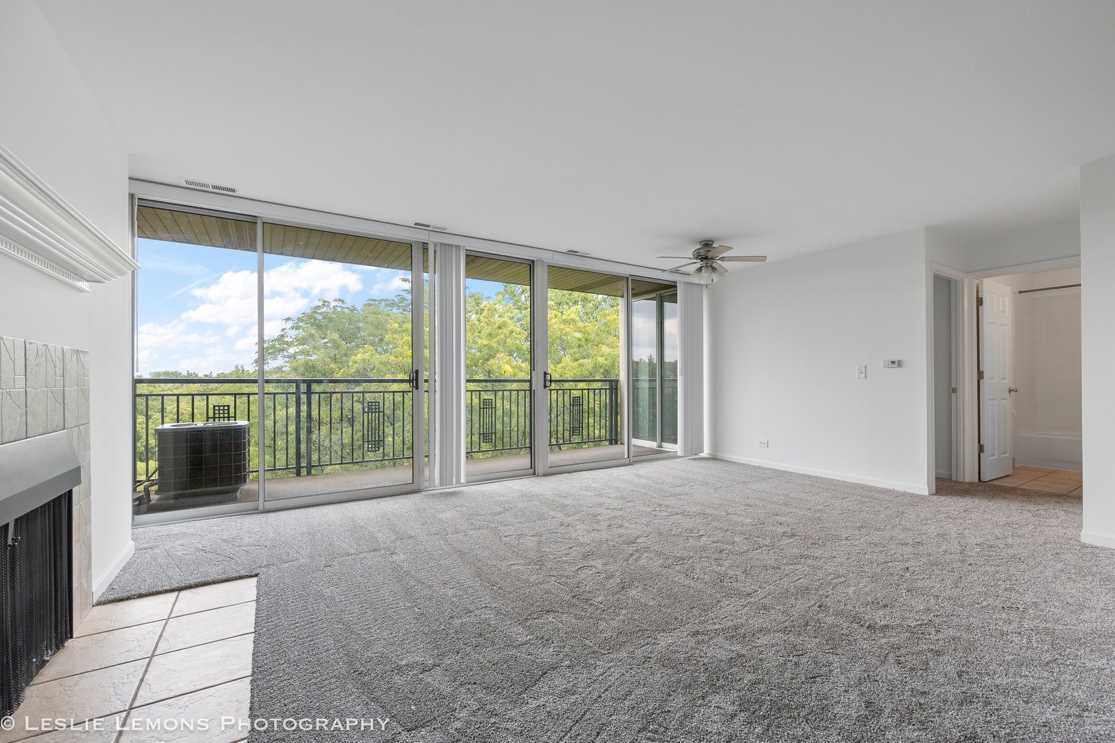 5950 Oakwood Drive #6F, Lisle, IL 60532