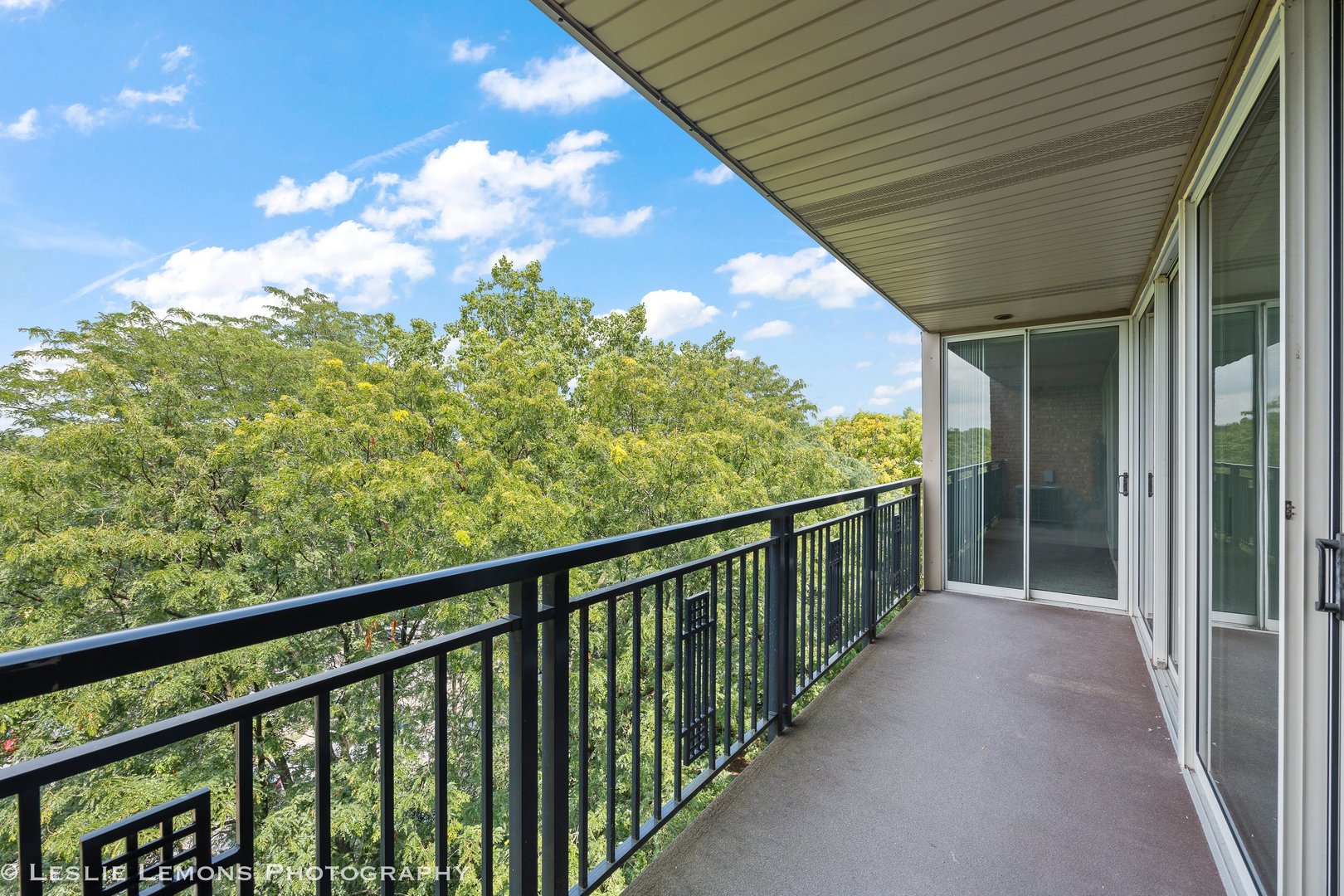 5950 Oakwood Drive #6F, Lisle, IL 60532