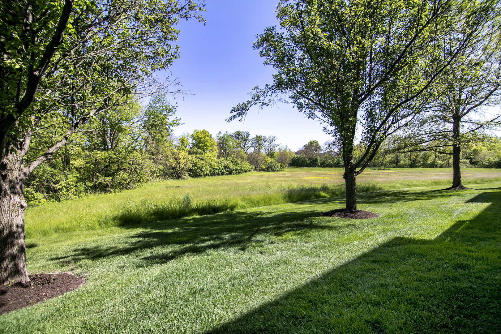 20432 Fallingwater Circle, Frankfort, IL 60423