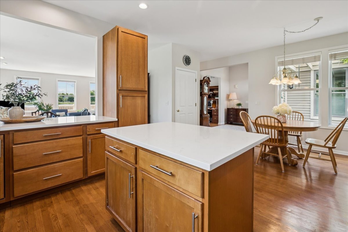 1369 Calamus Lane, Grayslake, IL 60030