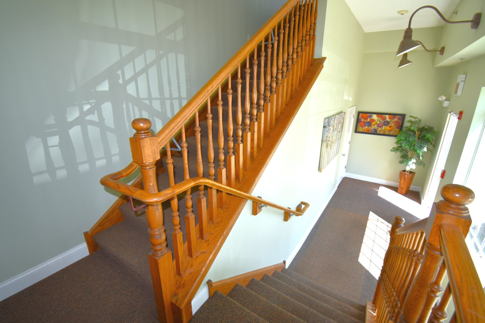 219 N White Street, Frankfort, IL 60423