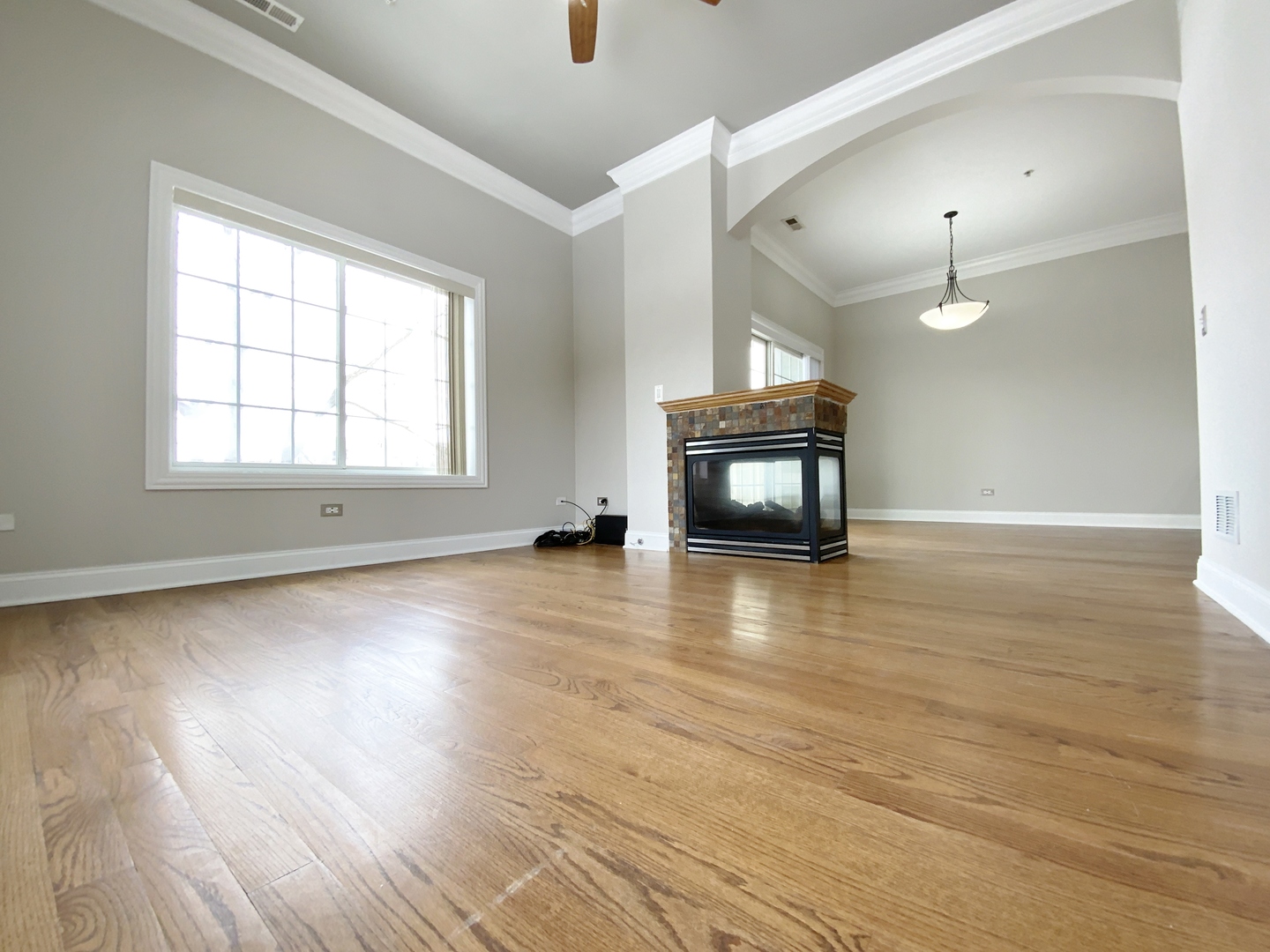 219 N White Street, Frankfort, IL 60423